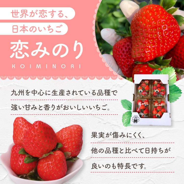 熊本県産いちご1kg（250g×4） | 果物 | 産直特産ショップ