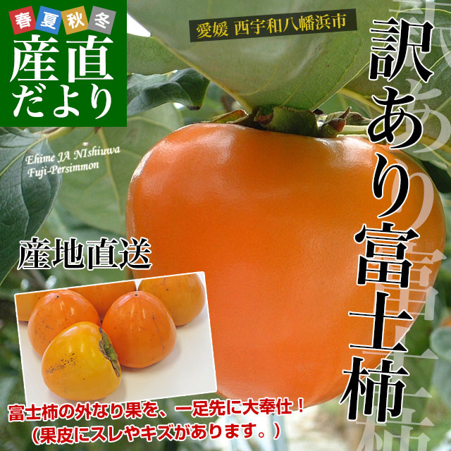 愛媛県より産地直送 JAにしうわ 富士柿 訳あり 2キロ(5玉から6玉) 送料