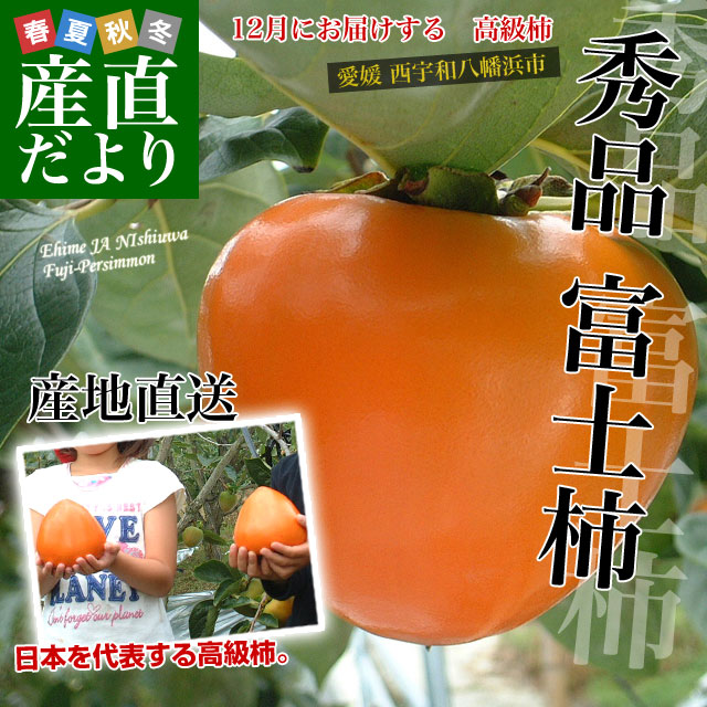 愛媛県より産地直送 JAにしうわ 富士柿 秀品 2キロ(5玉から6玉) 送料