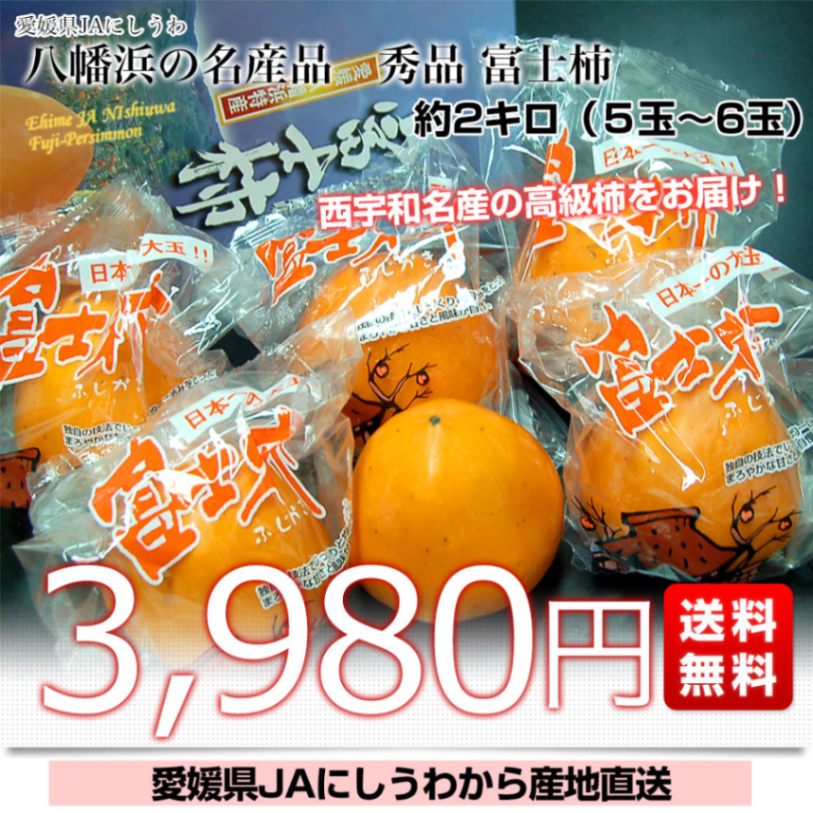 秀品 ！ ラスト 1ケース 愛媛県 特産 富士柿 秀品 約10キロ 富士柿 キズキズ君 10kg : 愛媛だいすけ果樹園 - 通販 - Yahoo