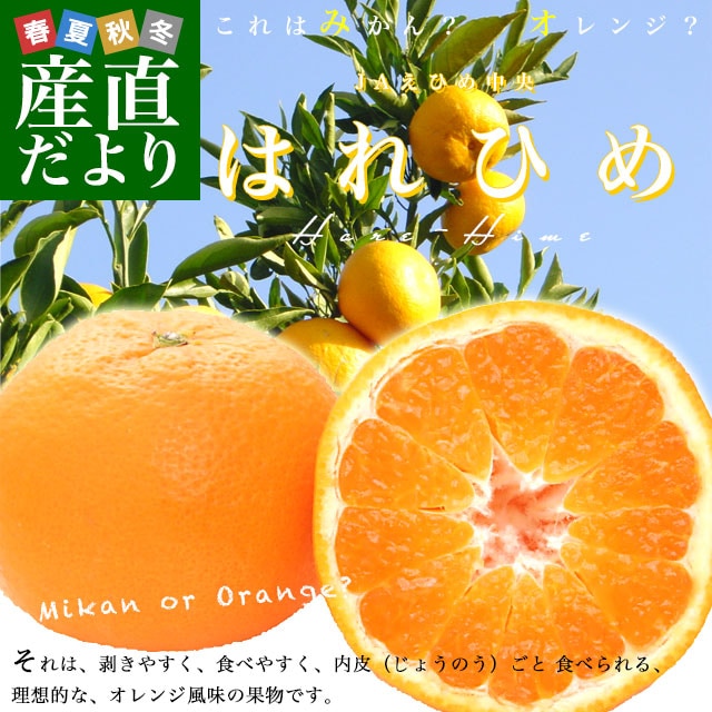 ɲ껺ľ JAҤ ϤҤ 2LL 5(28̤43)̵ 󥸡ࡡߤ