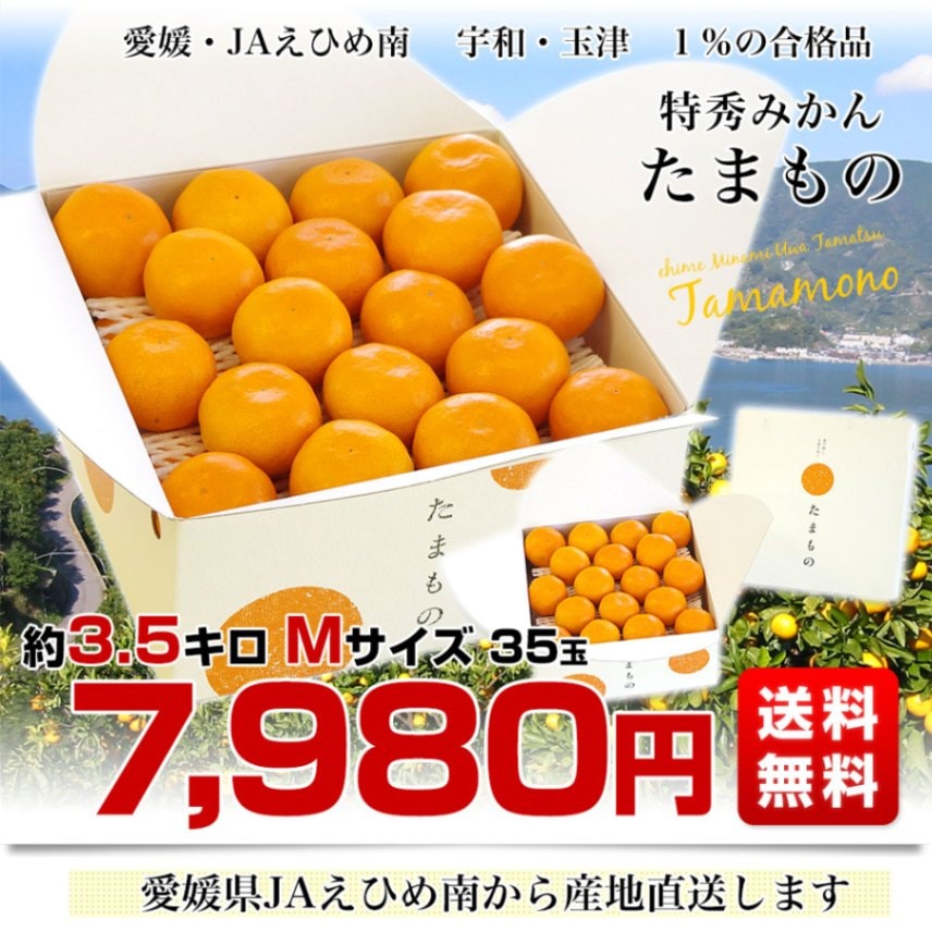 専用♥お年玉超特価♥みかん❤ゆったりキッズサイズ☆ネックウォーマー❤カラフル星 お歳暮 ギフト】愛媛県より産地直送 JAえひめ南 特秀みかん「たまもの