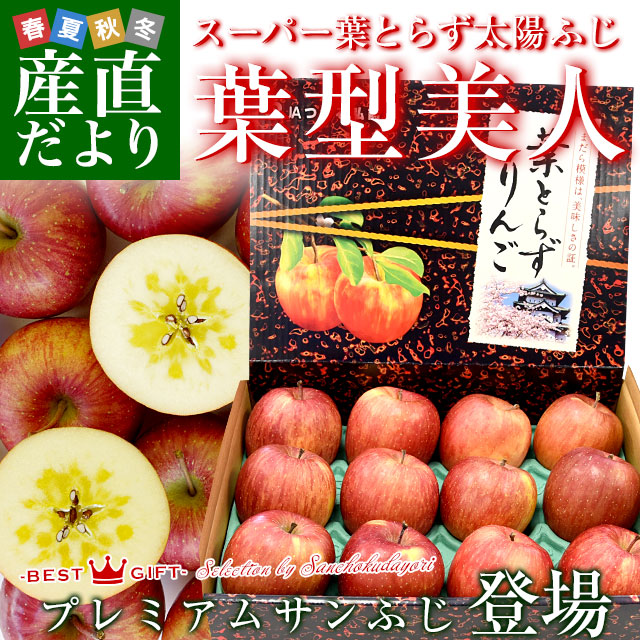 青森県より産地直送 JAつがる弘前 プレミアムサンふじ 葉型美人 (はか