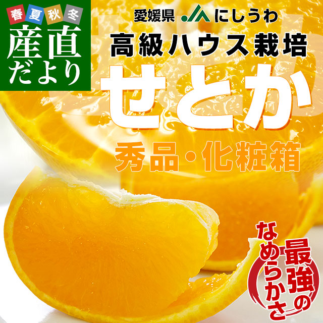 愛媛県より産地直送 JAにしうわ 高級ハウス栽培 せとか 秀品 3LからL