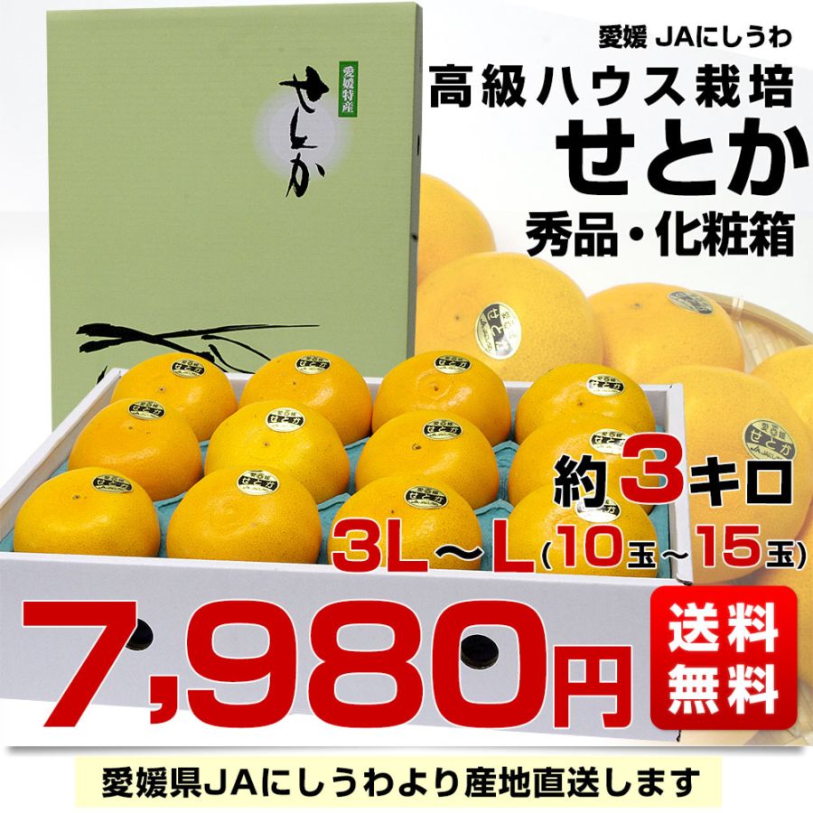 愛媛県より産地直送 JAにしうわ 高級ハウス栽培 せとか 秀品 3LからL