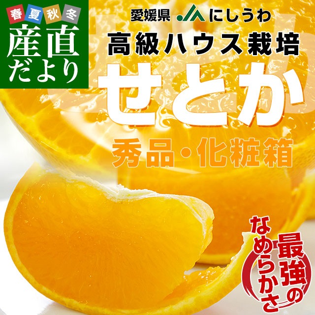 愛媛県より産地直送 JAにしうわ 高級ハウス栽培 せとか 秀品 3LからL