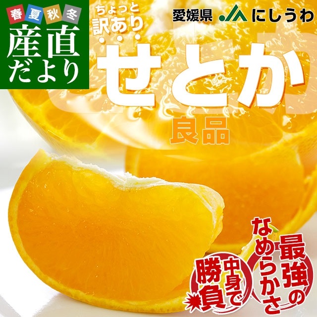 静岡県産【せとか】10キロ  サイズ混合　訳あり みかん せとか 10Kg」の人気商品一覧 | 安い商品を通販サイト
