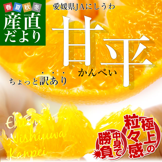 ��ɲ�� JA�ˤ����� ��ʿ(����ڤ�) ����ä������� ���� 3L����L������ ��2.5����(6�̤���13��) ����̵�� ����ڥ� ������