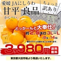 愛媛県西宇和産　甘平約5㎏×3箱 オンラインストアで「甘平」販売開始！ | 愛媛みかん| 西宇和みかん