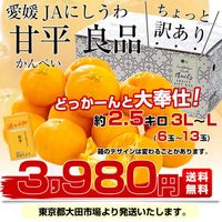 2026年発送】愛媛県 JAにしうわ 甘平(かんぺい) ちょっと訳あり 良品