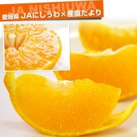 愛媛県 JAにしうわ 甘平(かんぺい) ちょっと訳あり 3LからL
