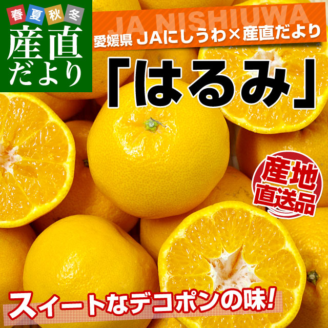 ��ɲ����껺��ľ�� JA�ˤ����� �Ϥ�� 3L����M������ 5���� (18�̤���35��) ����̵�� ���� ����� �ϥ�� ������ ȬȨ��