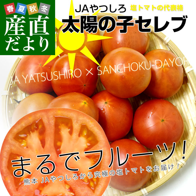 ���ܸ���껺��ľ�� JA��Ĥ��� ���ۤλҥ���� �ե롼�ĥȥޥ� ��1���� L����S������(���̤���16��) ����̵�� �Ȥޤ�