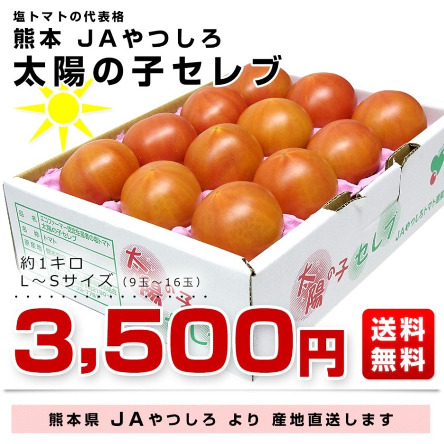 熊本県より産地直送 JAやつしろ 太陽の子セレブ フルーツトマト 約1