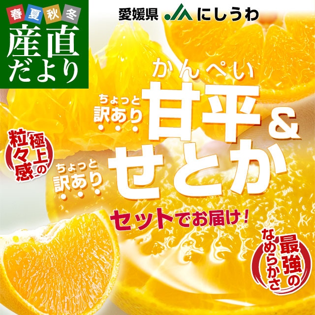 愛媛県産 JAにしうわ 甘平＆せとかセット 良品 ちょっと訳あり 合計5