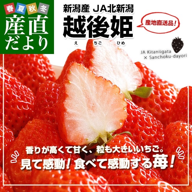 楽天市場】イチゴ あきひめ 章姫 4P詰合せ 有機肥料使用 地元