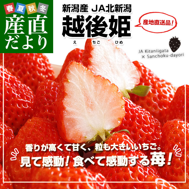 新潟県より産地直送 北新潟 越後姫(えちごひめ) 880gから940g化粧箱