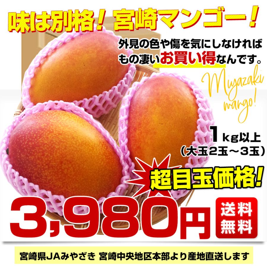 宮崎県より産地直送 JAみやざき宮崎中央地区本部 訳あり宮崎マンゴー 1