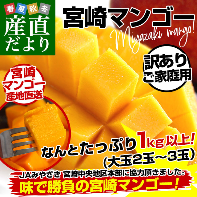 宮崎県より産地直送 JAみやざき宮崎中央地区本部 訳あり宮崎マンゴー 1