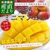 ܺ긩껺ľ JAߤ䤶ܺ϶ ϥߥ˥ޥ󥴡 500g600g (̤飴)  ̵ ߤˤޤ󤴡 ܺޥ󥴡