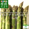 ̳ƻ껺ľ ְ¼ͭJAS꡼󥢥ѥ֥ǥεҡ LM 500g ̵ ѥ饬 ȯ