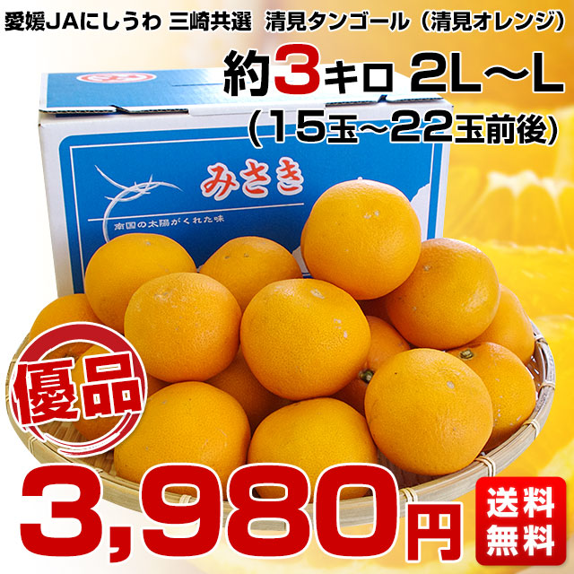 愛媛県より産地直送 JAにしうわ三崎共選 清見タンゴール （清見