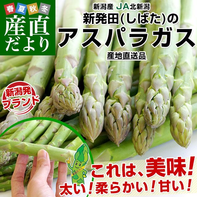 ���㸩��껺��ľ�� JA�̿��� ��ȯ�Ĥζ������꡼�󥢥��ѥ� 2L ��1���� ����̵��