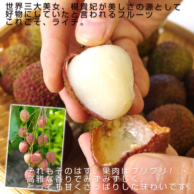 タケちん様/沖縄産ライチ☆幻の玉荷包3kg 淡い