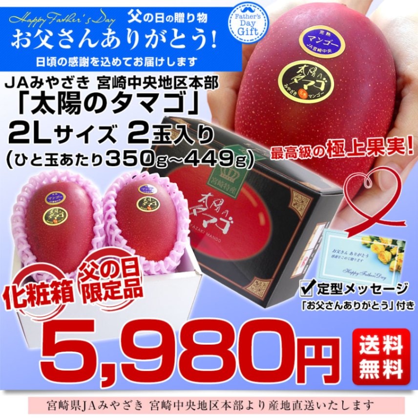 農家直送　宮崎県産　完熟マンゴー 6玉入り 2720g 遅れてごめんね父の日ギフト】宮崎県より産地直送 JAみやざき 宮崎中央