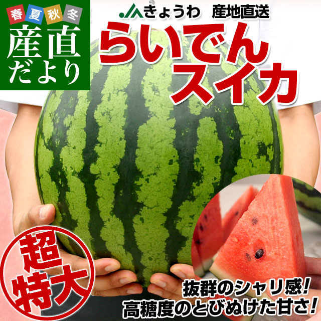 北海道より産地直送 JAきょうわ らいでんスイカ 超特大 秀品5L
