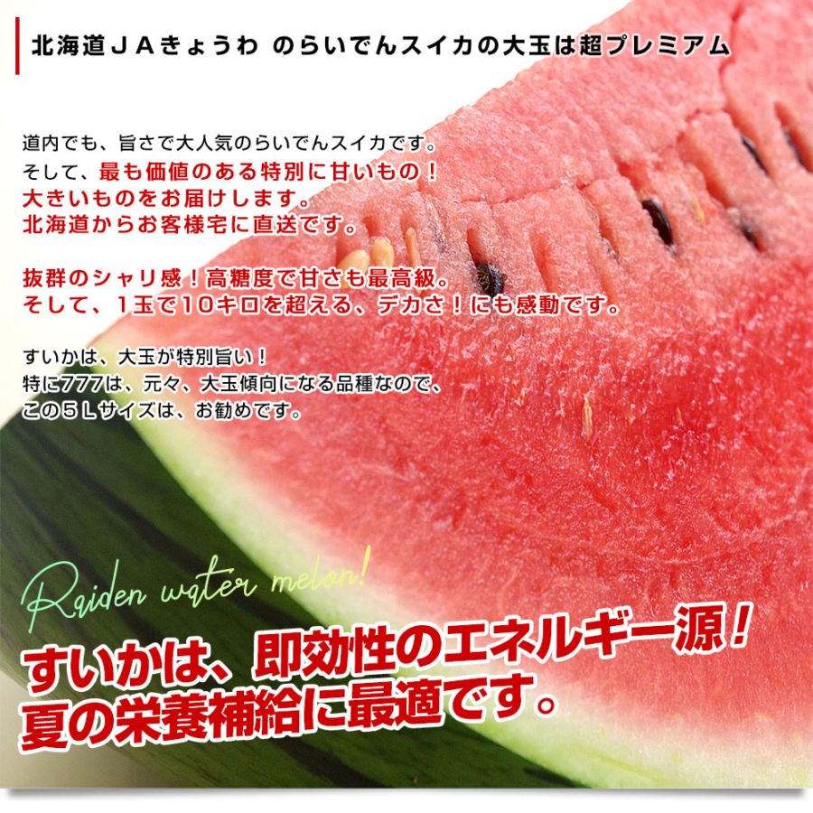 北海道より産地直送 JAきょうわ らいでんスイカ 超特大 優品5Lサイズ
