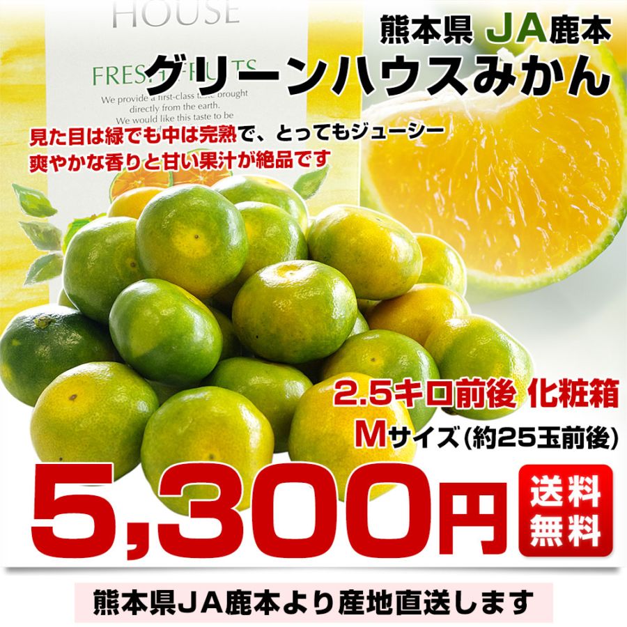 めぐみん　R6年収穫 鹿児島県産直 13℃一定保存 25kg R7年産 新米受付《定期便6ヶ月》秋田県産あきたこまち4kg【玄米