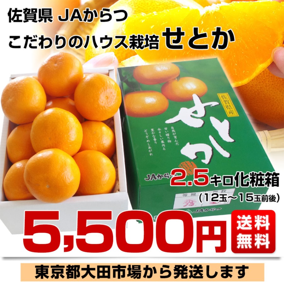 せとか 12玉 ２箱セット 佐賀県産 JAからつ せとか 秀品 2.5キロ 化粧箱入(12から15玉) 送料