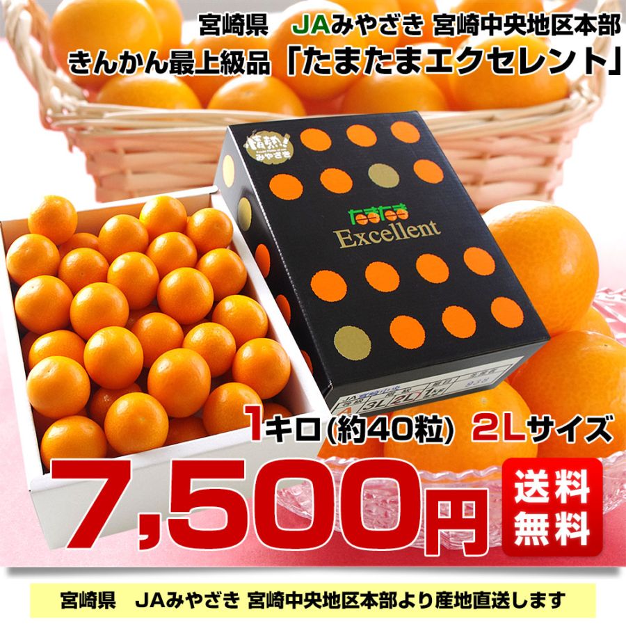 宮崎県から産地直送 JAみやざき宮崎中央地区本部 たまたま