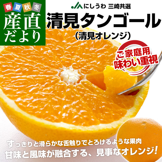 愛媛県より産地直送 JAにしうわ三崎共選 清見タンゴール （清見