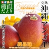 츩껺ľ JAʤ ϲޥ󥴡  1.5 (4̤5) ̵ ޤ󤴡 åץޥ󥴡ե ƥե 渵 渵
