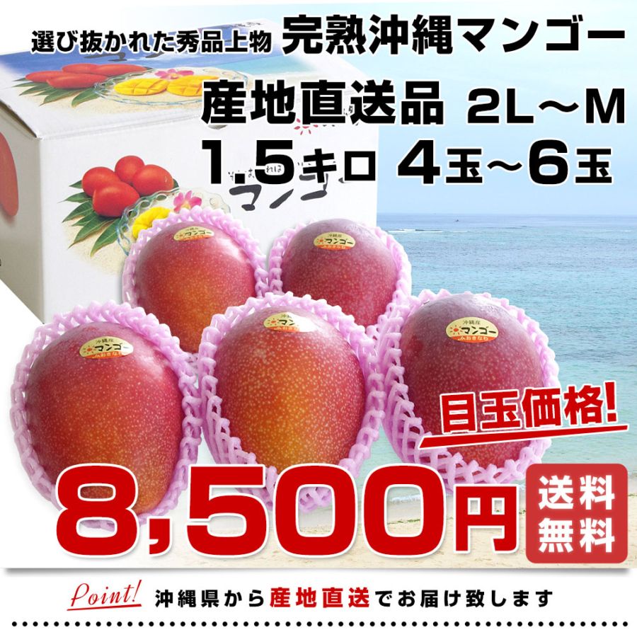 沖縄県より産地直送 JAおきなわ 完熟沖縄マンゴー 秀品 1.5キロ 2Lから
