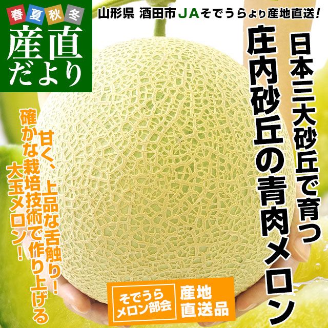 山形県より産地直送 JAそでうら 庄内砂丘の青肉メロン 大玉サイズ 4玉