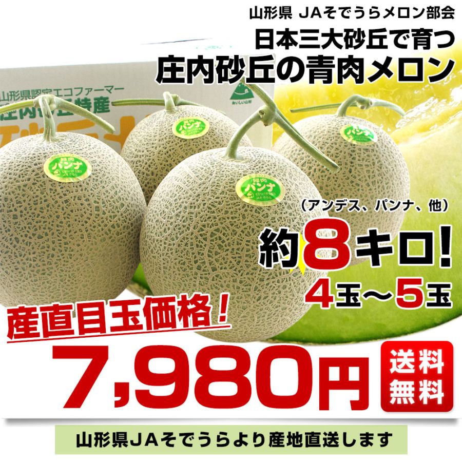山形県より産地直送 JAそでうら 庄内砂丘の青肉メロン 大玉サイズ 4玉