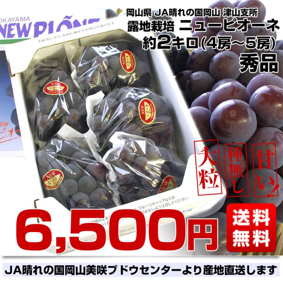 岡山県より産地直送 JA晴れの国岡山 津山支所 ニューピオーネ 秀品 約2