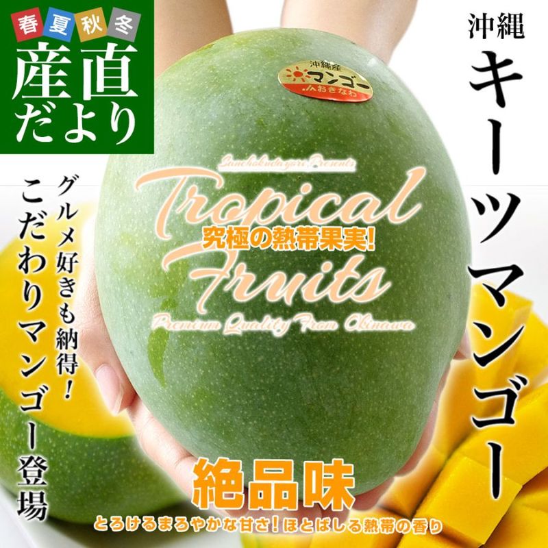���츩��껺��ľ�� JA�����ʤ� �����ĥޥ󥴡� ��800g ����Ȣ �ޤ󤴡� ����̵��