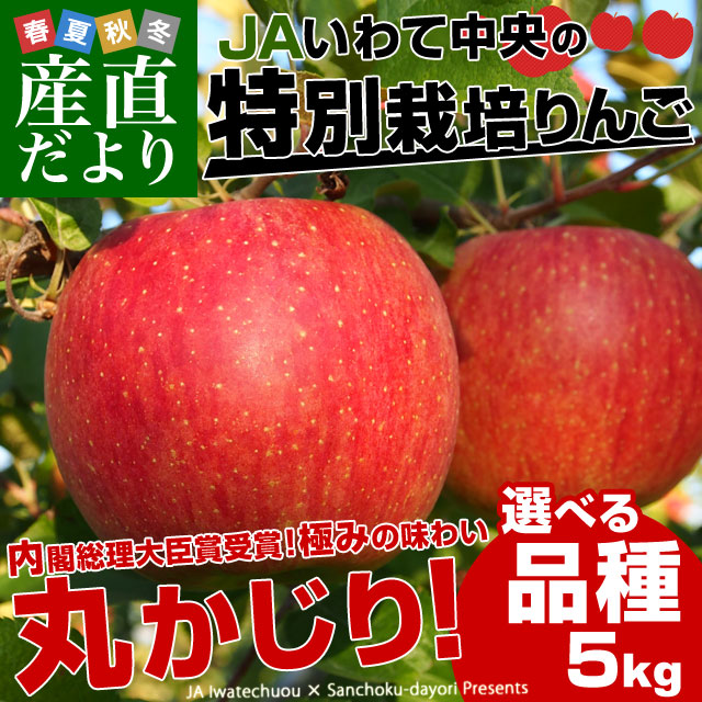 りんご5キロ （F-02】 山形県産ふじりんご 5kg箱 （14玉～16玉入