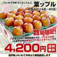 りんごです ニュージーランド産 JAZZりんご(品種:サイフレッシュ) 約2.6キロ