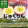 ��긩��껺��ľ�� JA�������� ���ϥ���դ���� ���夯��� ��5����(16�̤���23��) ����̵�� �Ӹ� ��� ����� ������ ���ե�