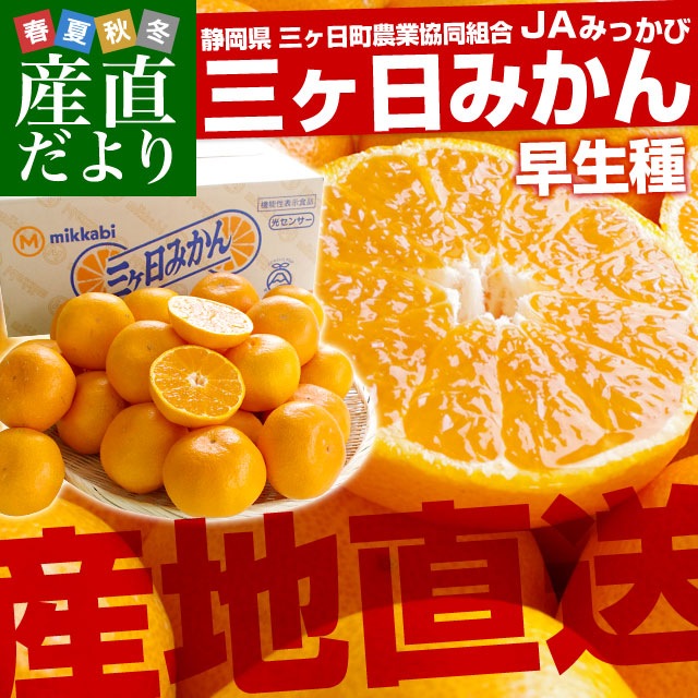 静岡県より産地直送 JAみっかび 三ケ日みかん (早生品種) 大玉2Lサイズ