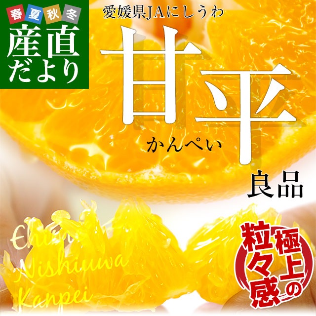 愛媛県より産地直送 JAにしうわ 甘平 (かんぺい) 良品 3LからLサイズ 5