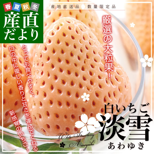 ���ܸ���껺��ľ������ë������򤤤��� ø��ʤ���椭�ˡ���400g��9γ����15γ�˲���Ȣ���� �� ������ ����̵����from�彣