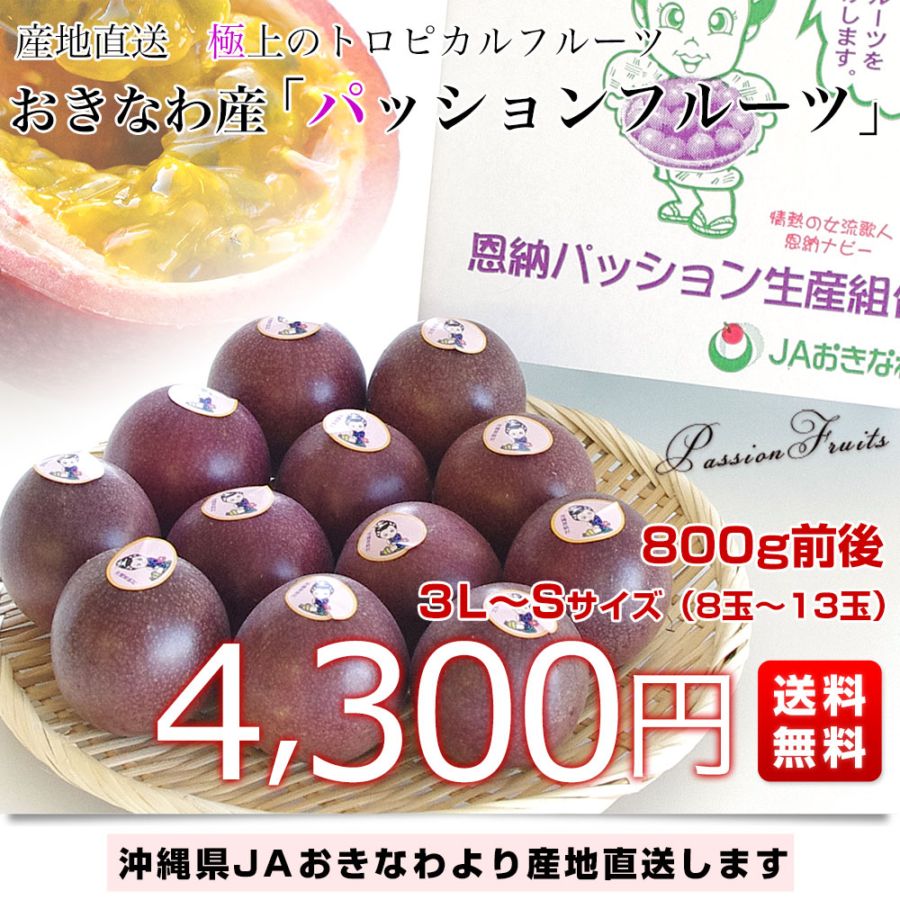 沖縄県より産地直送 JAおきなわ パッションフルーツ 3LからSサイズ