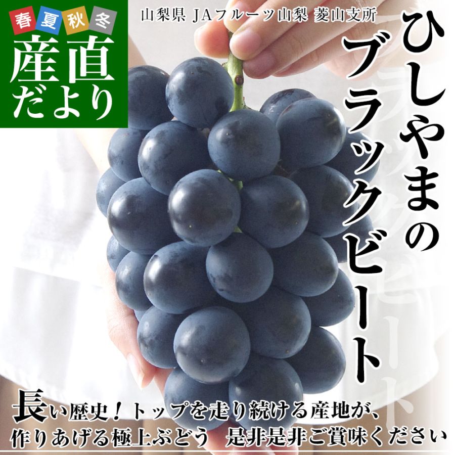 山梨県より産地直送 JAフルーツ山梨 菱山支所 ひしやまのブラック