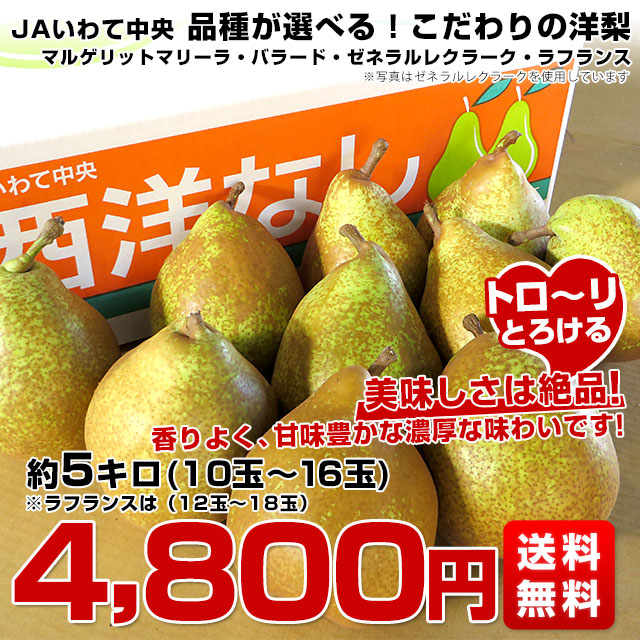 岩手県より産地直送 JAいわて中央 選べる洋ナシ（マルゲリットマリーラ
